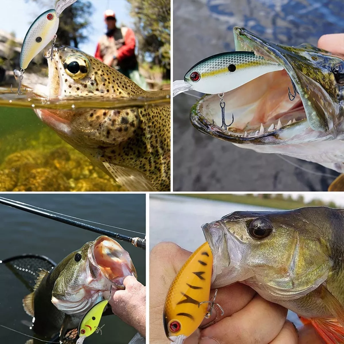 Set 8 Curricanes Pesca Señuelos De Realista Pesca Mar Cebo Duro