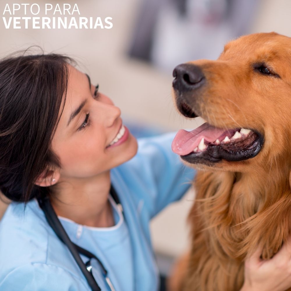 Bascula Comercial Digital 100 Kg Industrial Con Mastil