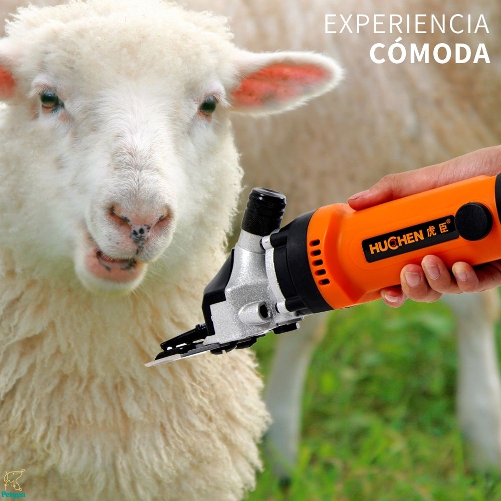 Trasquiladora Rasuradora Para Borregos Perro Ovejas 690w Pro