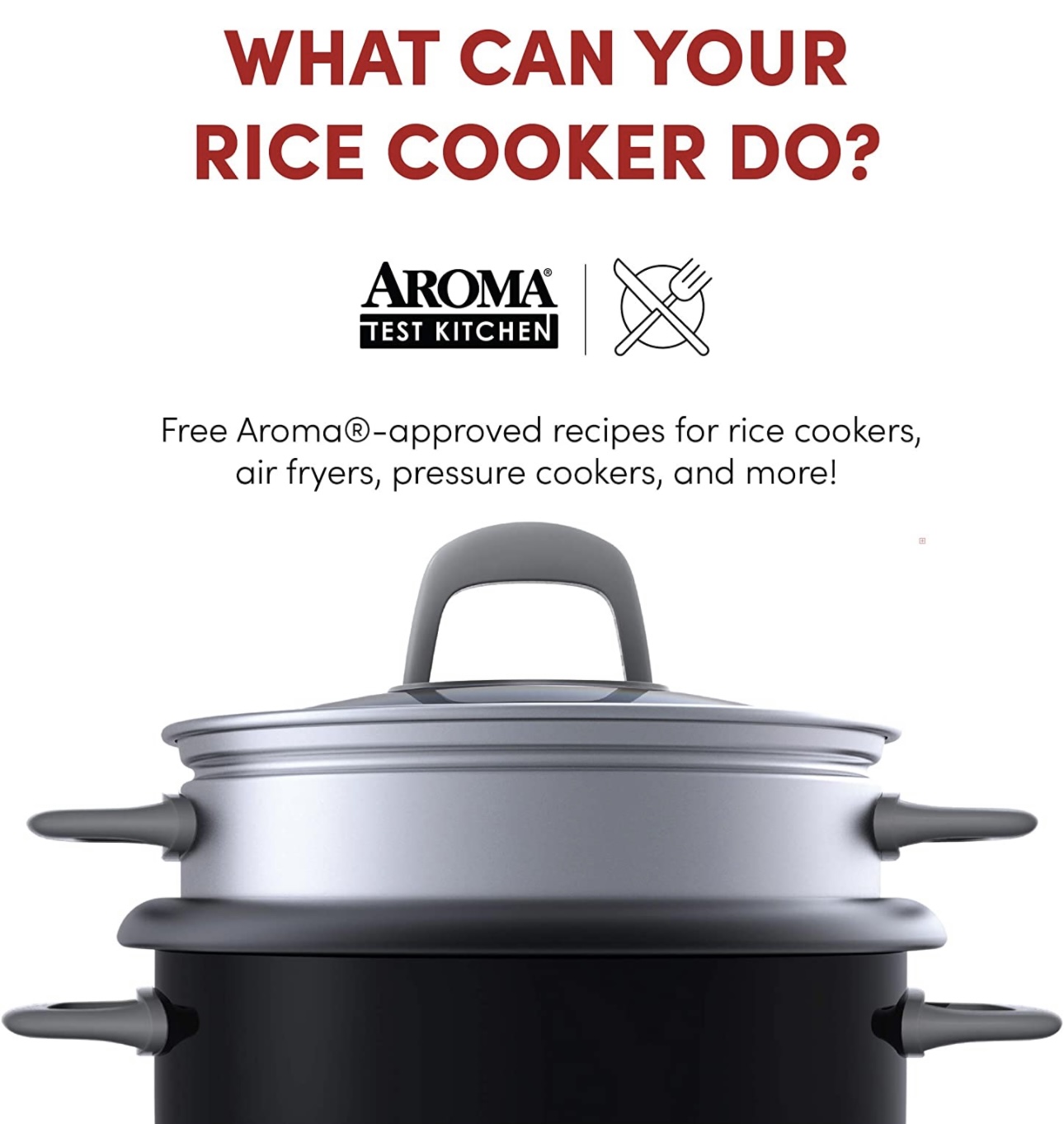 Arrocera Y Vaporera Para Alimentos 2 En 1 Automática