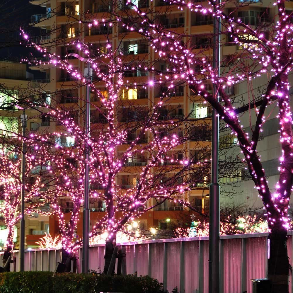 Serie de Luces Navideñas Led 300 Focos Luz Rosa brillante