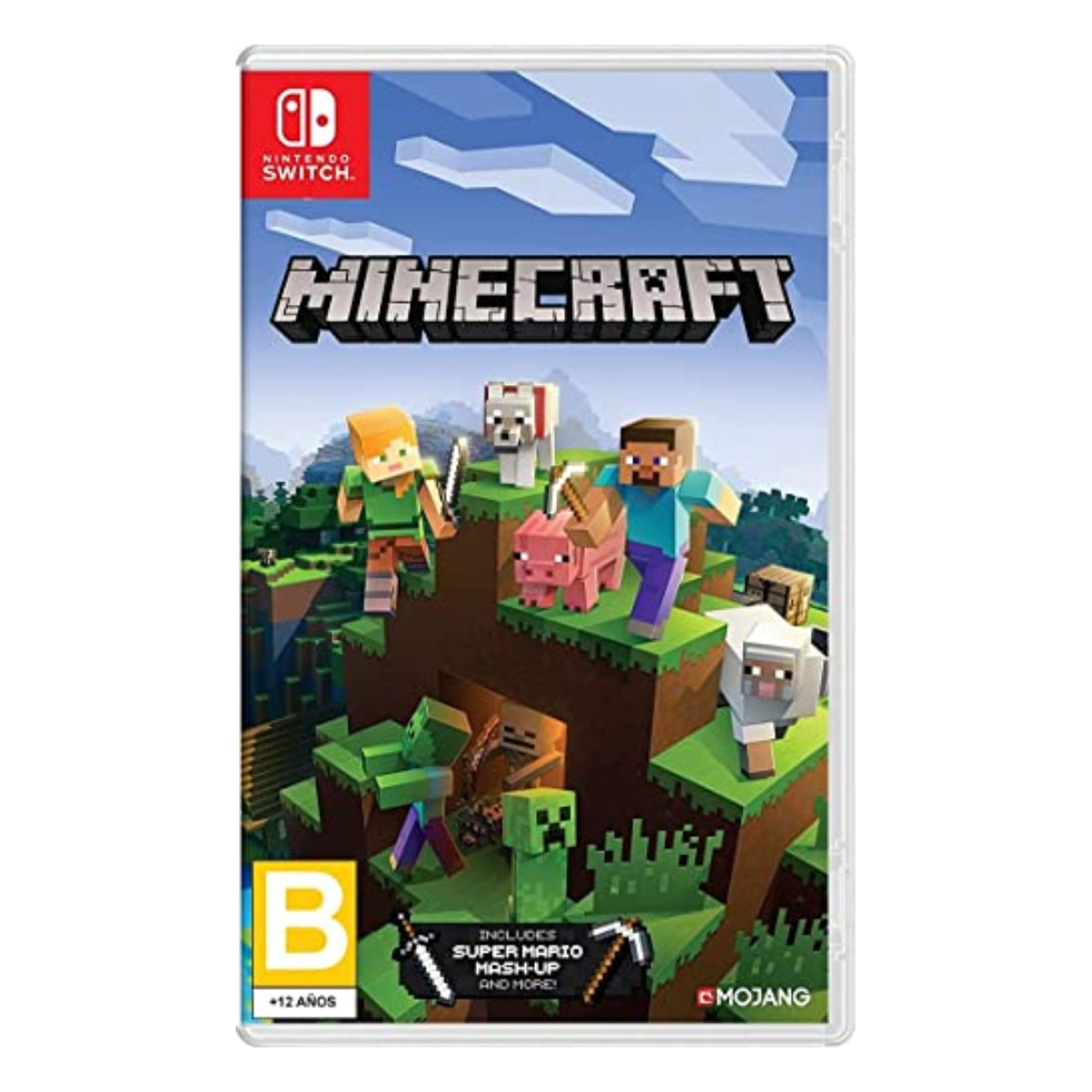 Minecraft Nintendo Switch