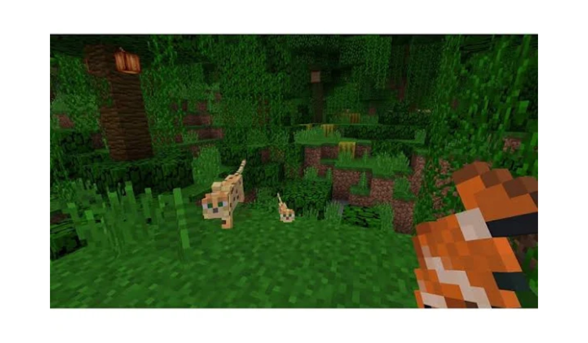 Minecraft Nintendo Switch