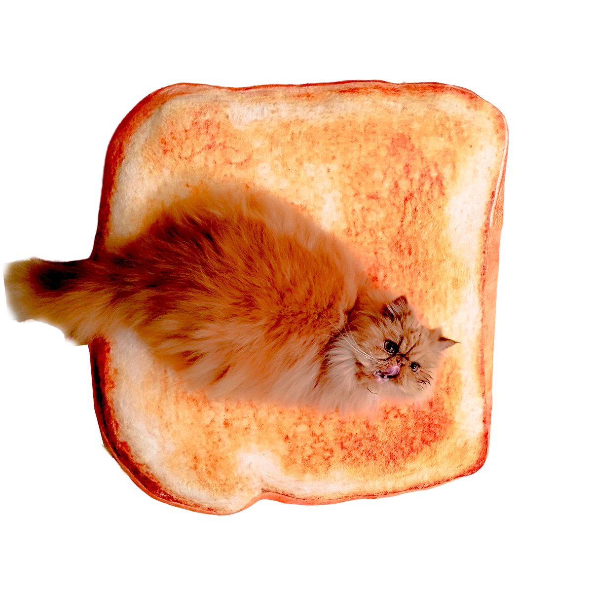 Cama Perro Gato Forma  Rebanada Pan Tostado Esponja Suave