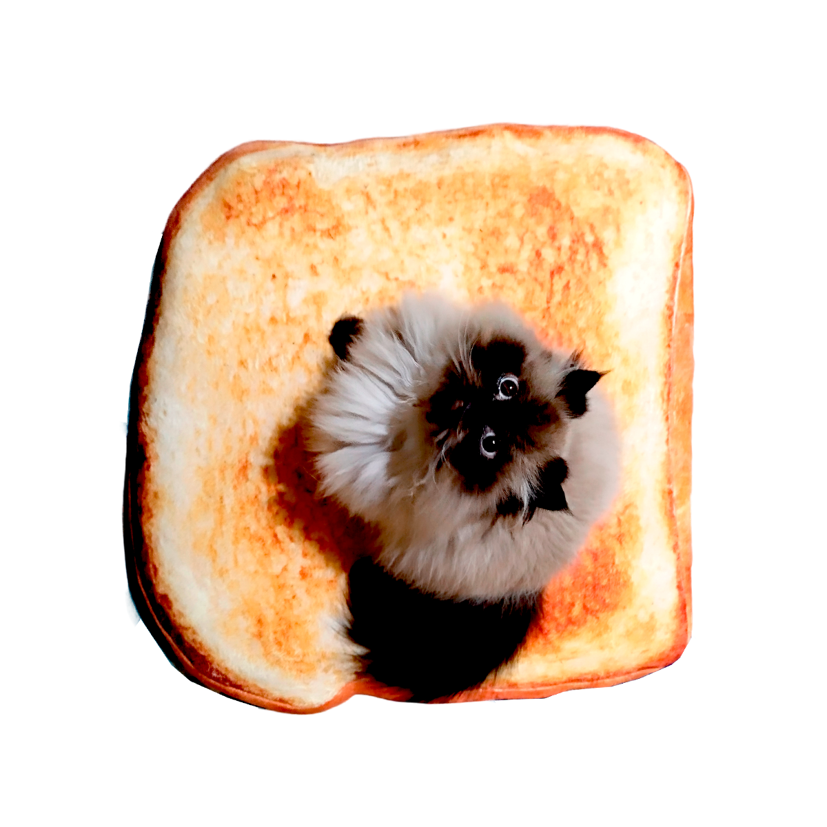 Cama Perro Gato Forma  Rebanada Pan Tostado Esponja Suave
