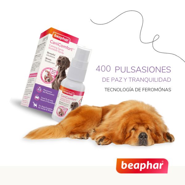 Beaphar Spray Canicomfort 60ml. Feromonas Calmantes P/perro.