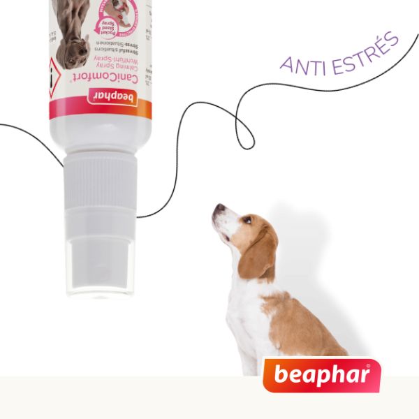 Beaphar Spray Canicomfort 60ml. Feromonas Calmantes P/perro.