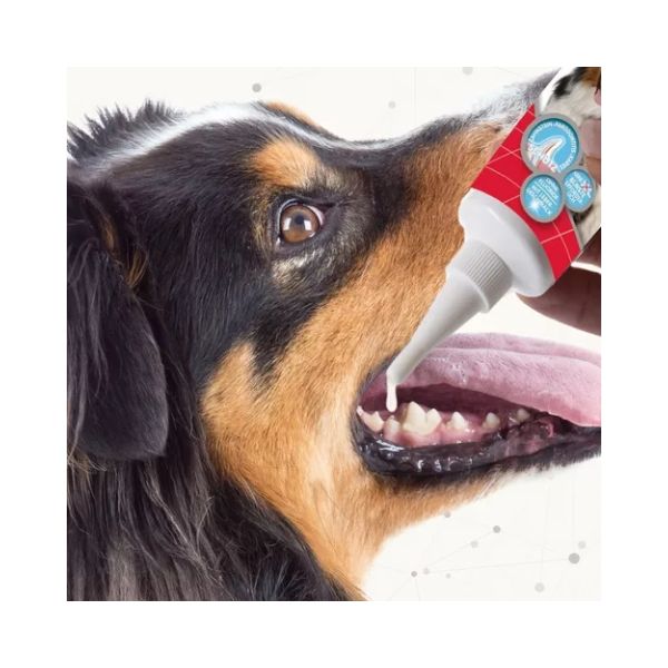Gel Dental Que No Necesita Cepillado Para Perro Gato Beaphar