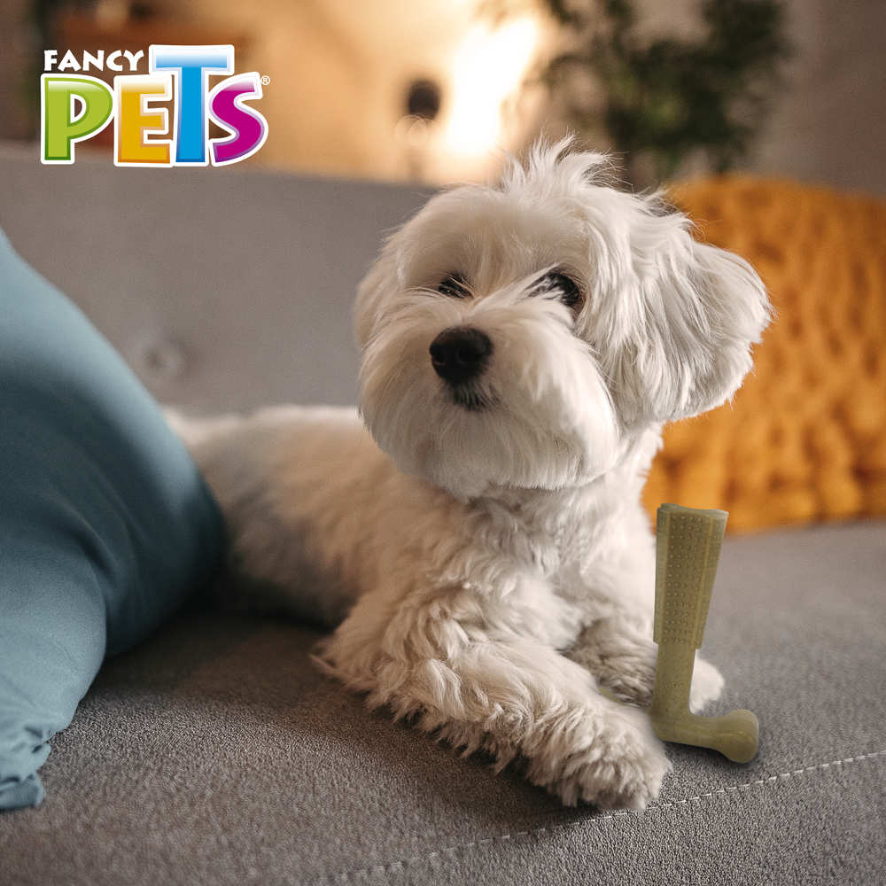 Fancy Pets Hueso Bambú Plus Juguete para Morder Sabor Pollo para Perro Tamaño Chico Color Café