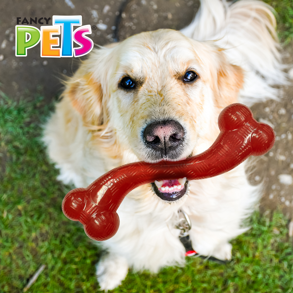 Fancy Pets Xtreme Juguete en Forma de Hueso Largo para Perro Color Rojo
