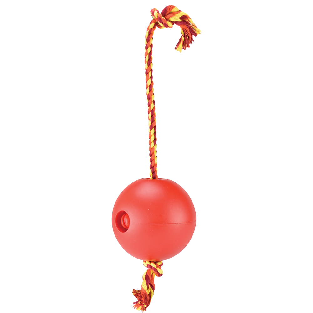 JUGUETE BOLA FLOTANTE CHICA