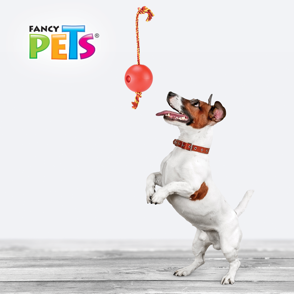 JUGUETE BOLA FLOTANTE CHICA