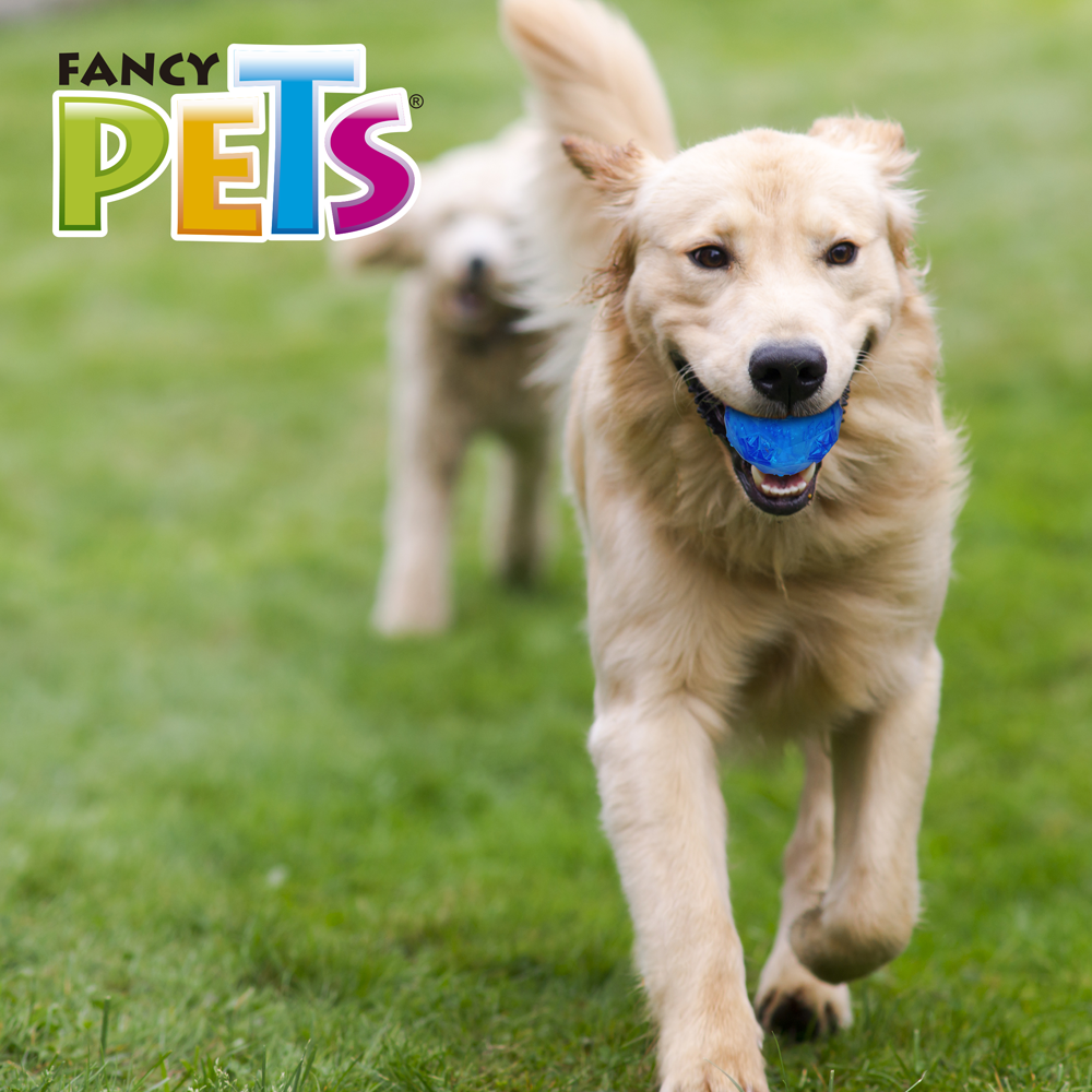 Fancy Pets Juguete Pelota Prisma para Perro con SonidoTamaño Grande