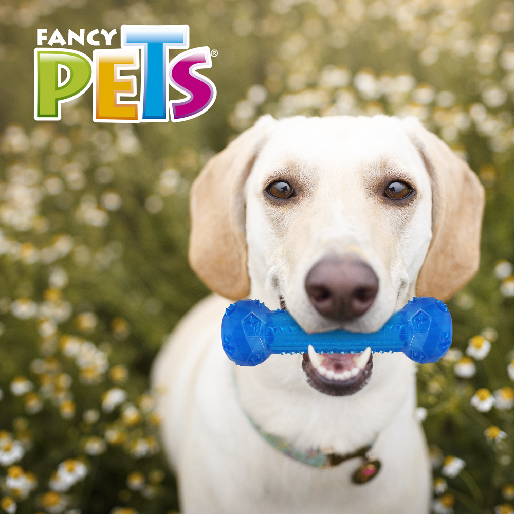 Fancy Pets Juguete Prisma Mancuerna para Perro con Sonido Tamaño Grande
