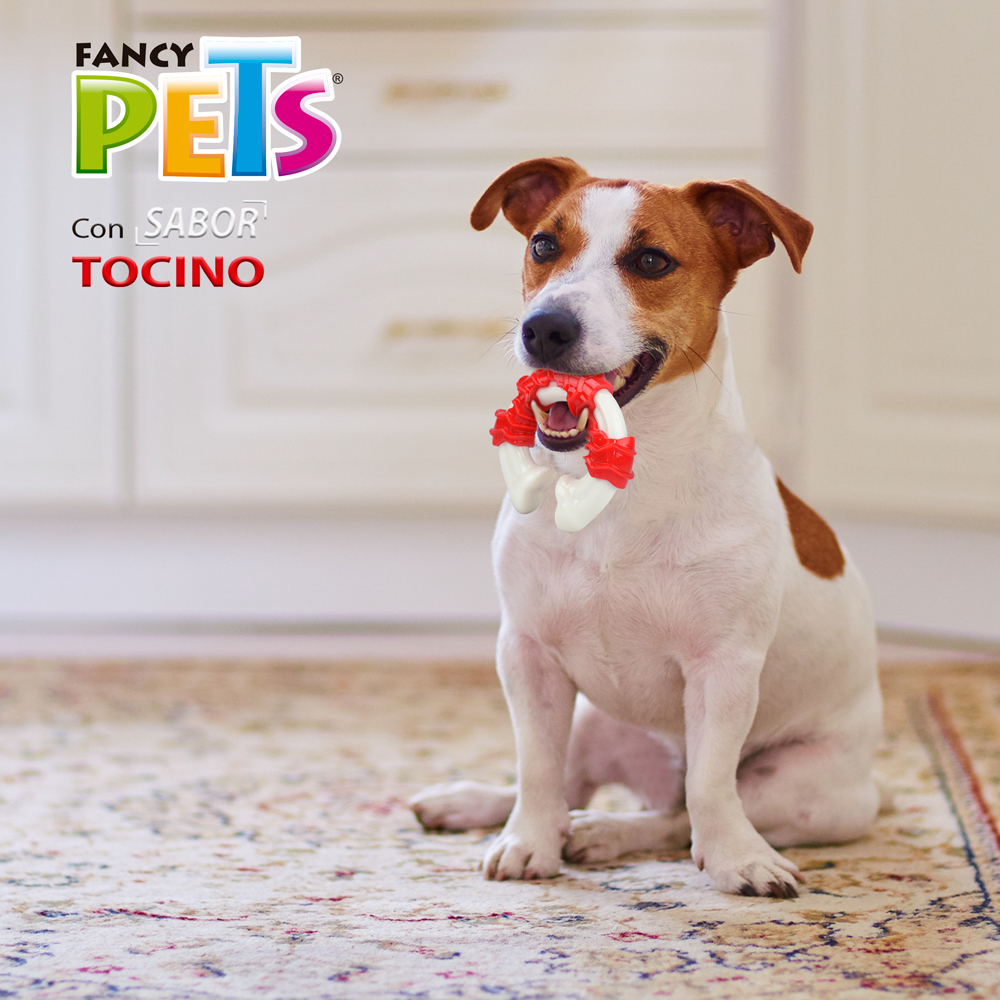 Fancy Pets Juguete Dental en Forma de Vértebra Sabor Tocino para Perro Tamaño Chico