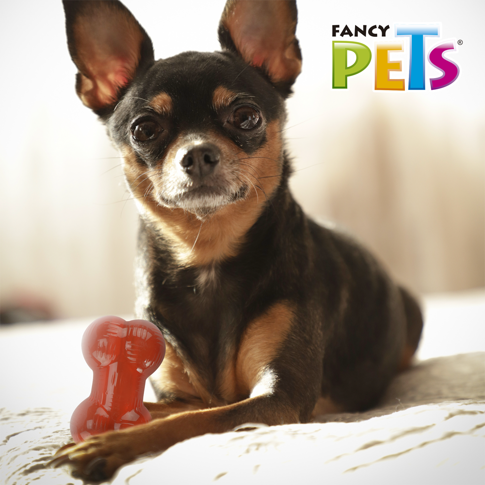 Fancy Pets Juguete Xtreme Hueso Rojo para Perro Tamaño Mini