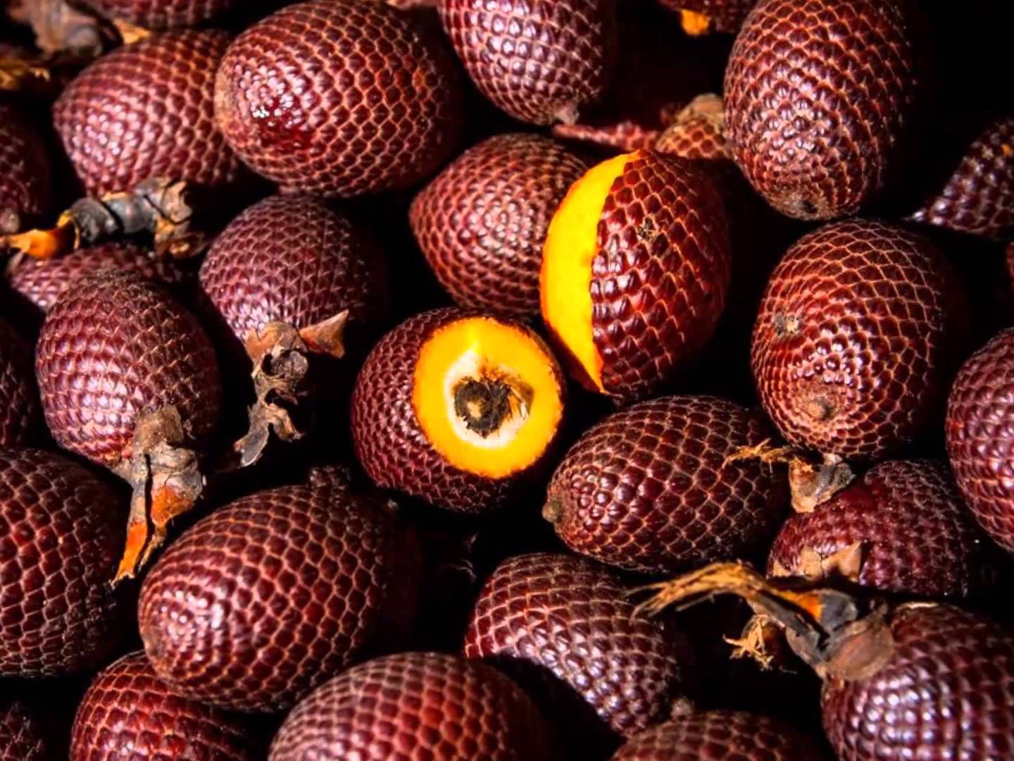 Aguaje Orgánico en Cápsulas (original De Perú)