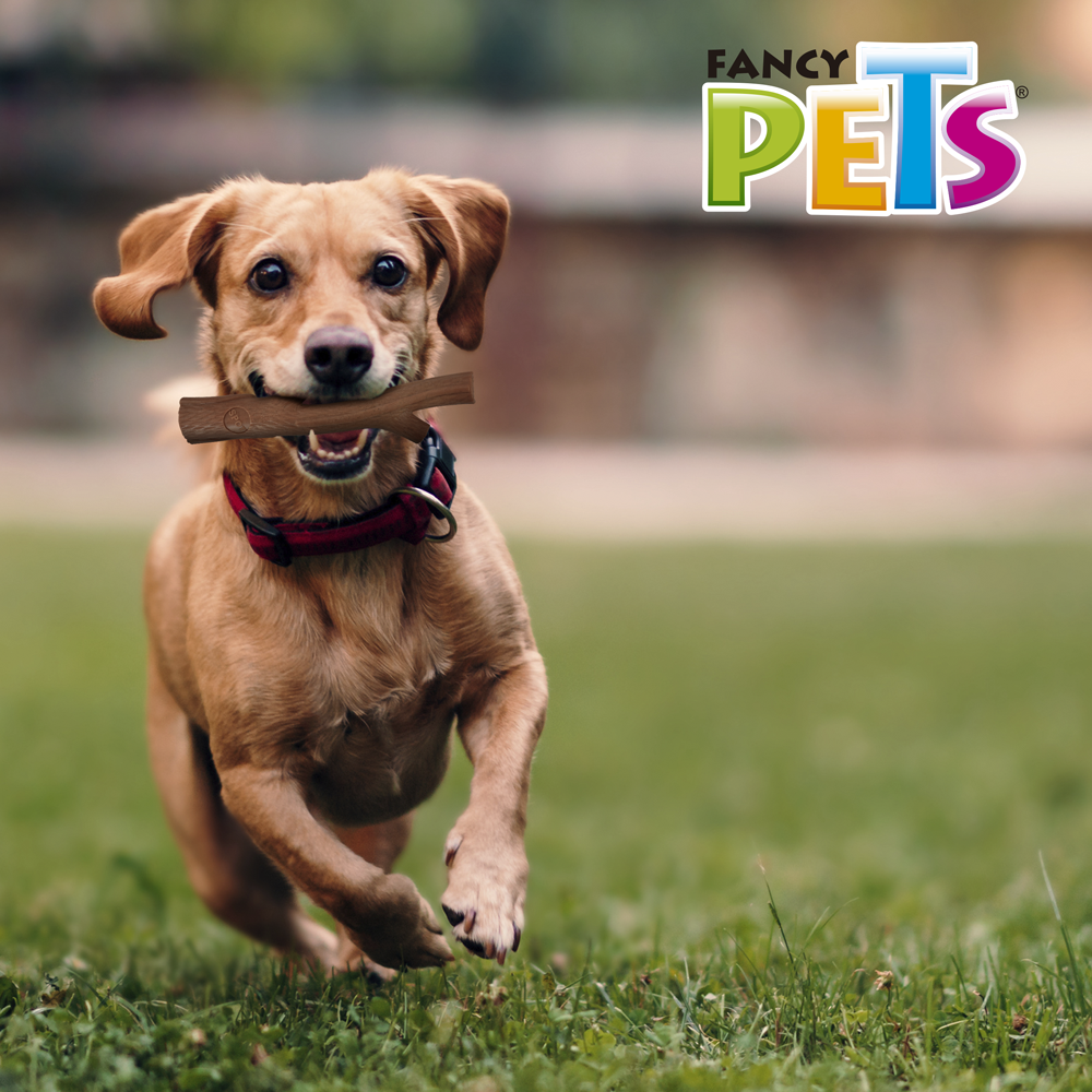 Fancy Pets Rama Bambú Plus Juguete para Morder Sabor Carne para Perro Tamaño Grande Color Café