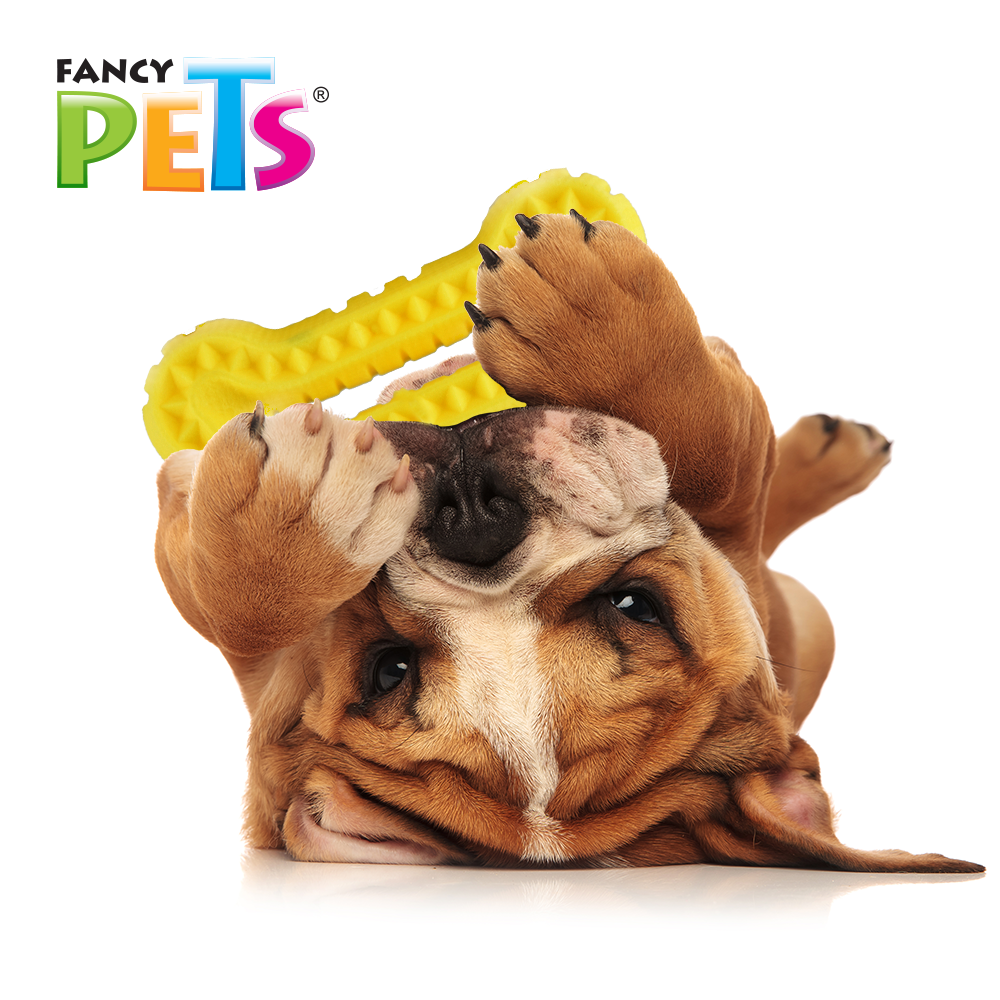 Fancy Pets Juguete Masticable en Forma de Hueso para Perro Tamaño Grande