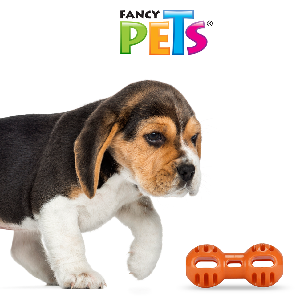 Fancy Pets Juguete Pesa Para Meter Premios para Perros Tamaño Grande