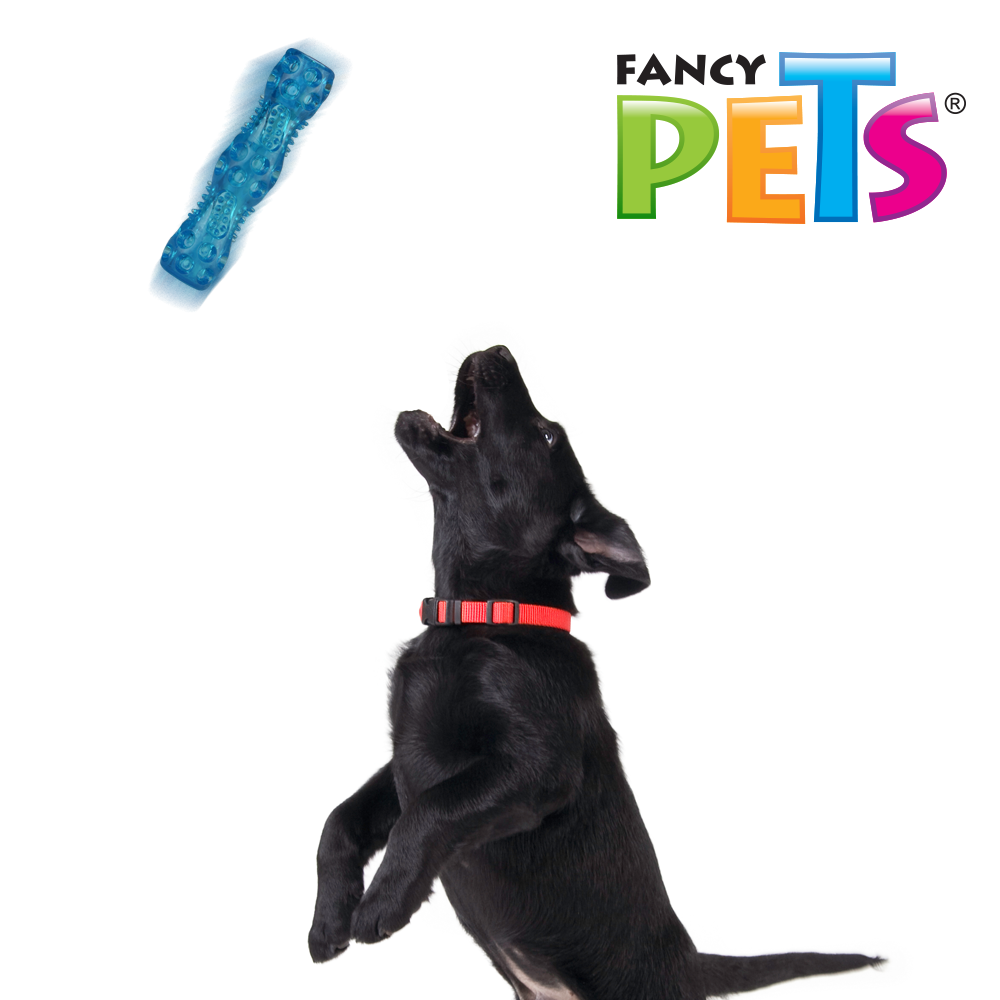 Fancy Pets juguete Vara Flexible con Sonido para Perro Tamaño Chico Color Azul