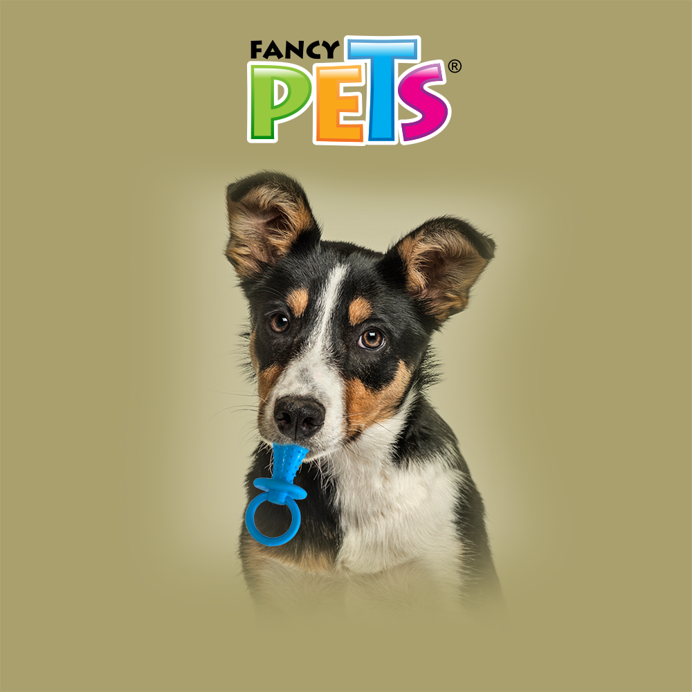Fancy Pets Juguete Mordedera para Perro en Forma de Chupón