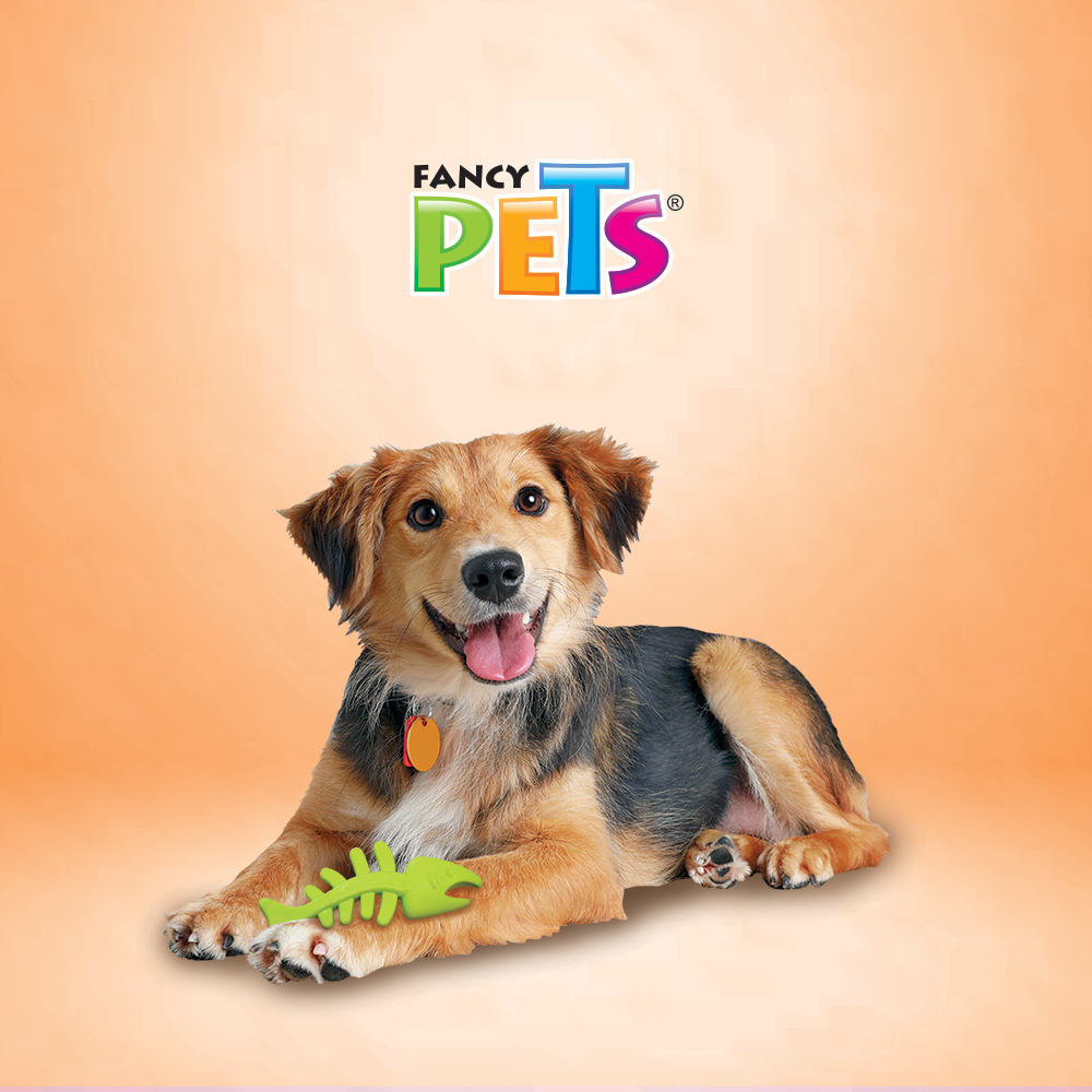 Fancy Pets Juguete Mordedera para Perro en Forma de Pescado