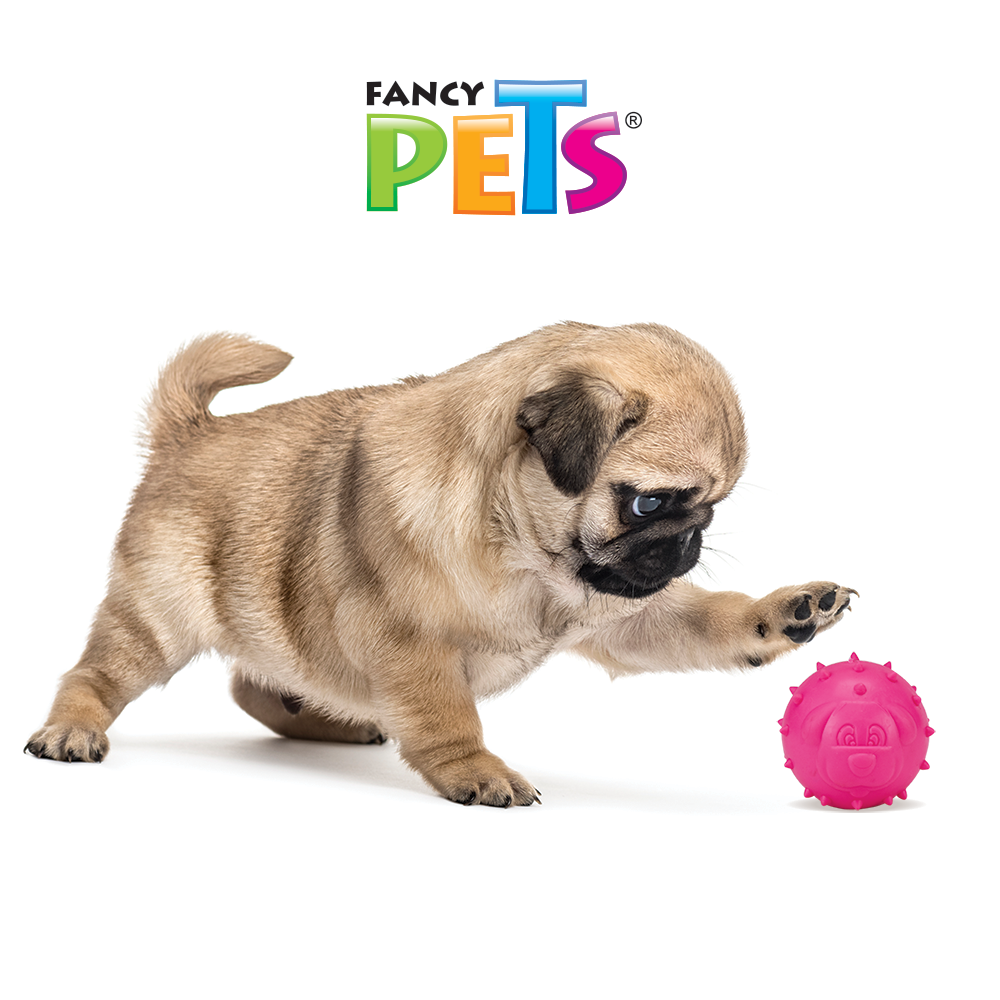 Fancy Pets Pelota Juguete Mordedera para Perro