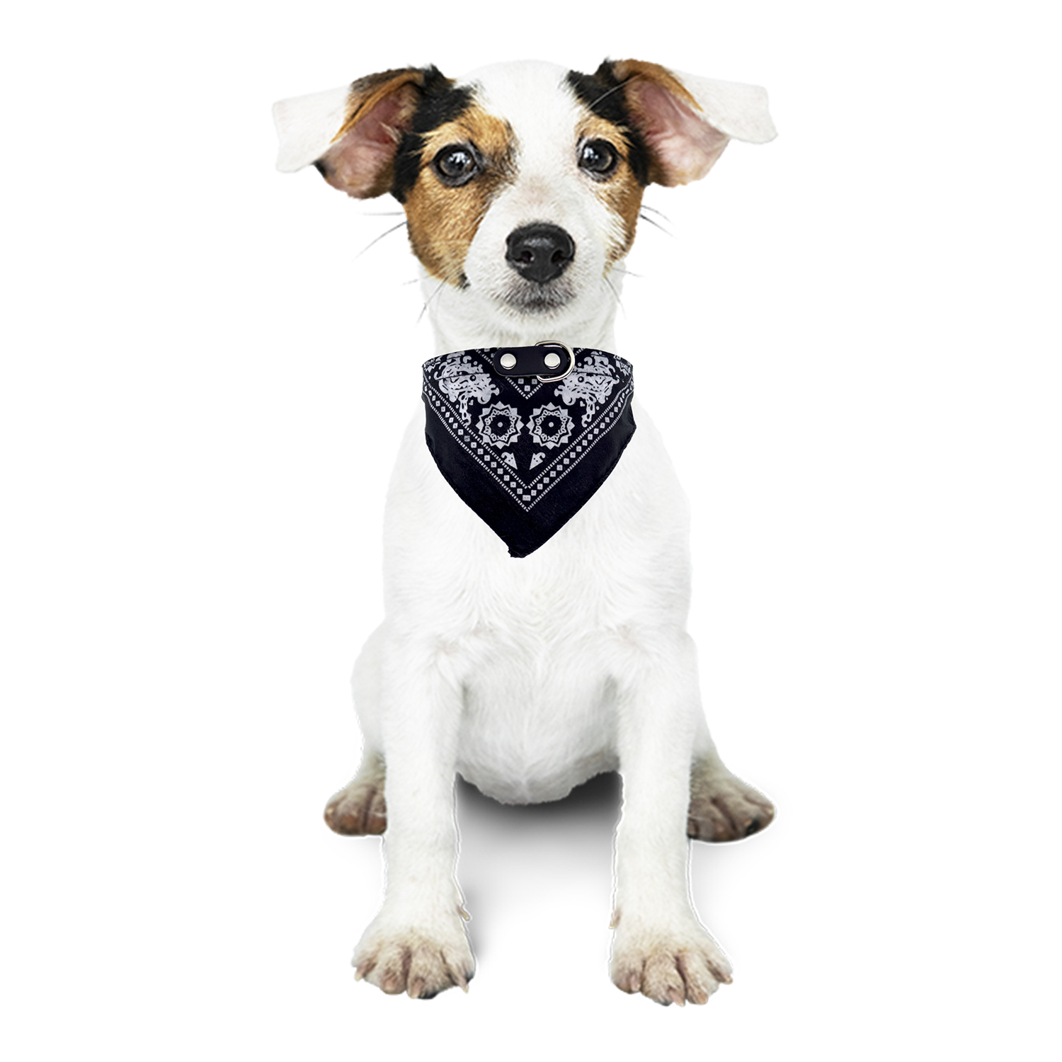 Collar Para Perro Mascotas Pañuelo Paliacate Raza Pequeña