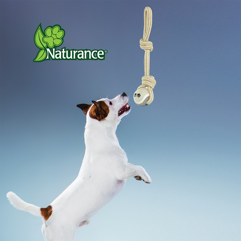 Fancy Pets Juguete Cuerda de Soga con Doble Nudo y Pelota de Tenis para Perro Mide 35 Centímetros