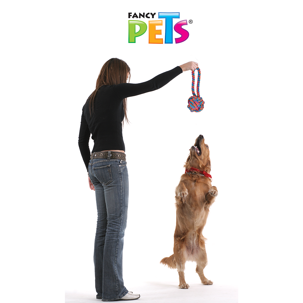 Fancy Pets Juguete de Soga con Pelota de Hilo para Perro de 23 Centímetros
