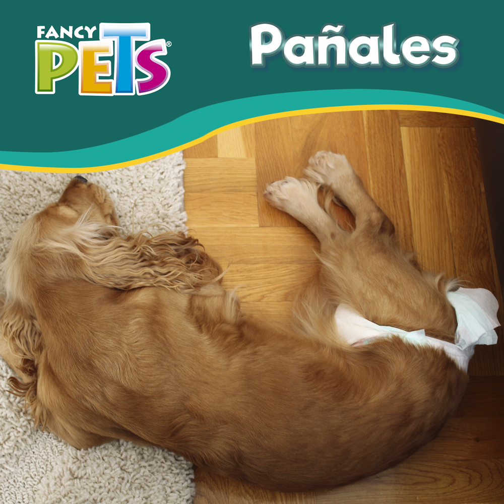 PAÑALES GDE P/PERRO - 12 PZ