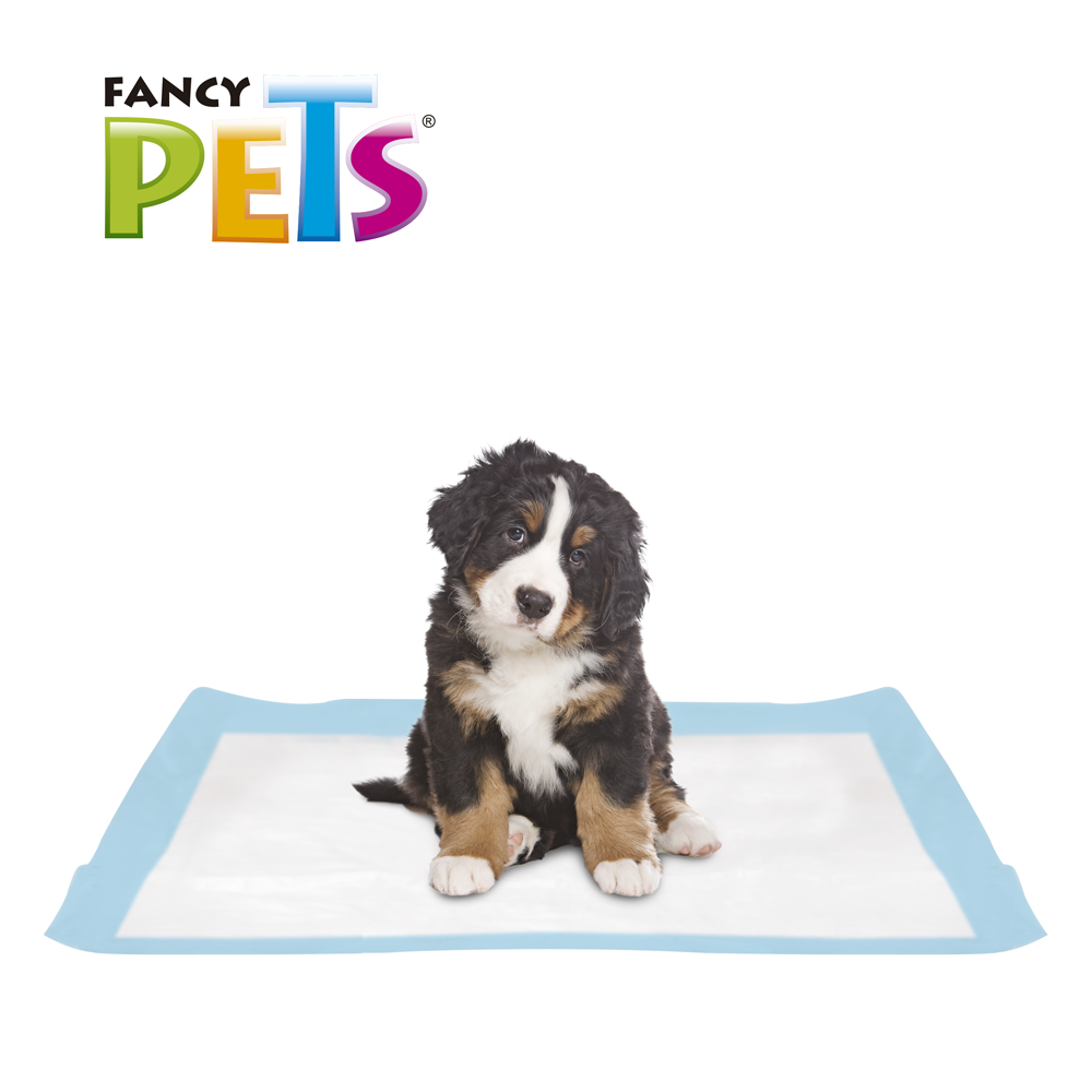 PAÑALES GDE P/PERRO - 12 PZ