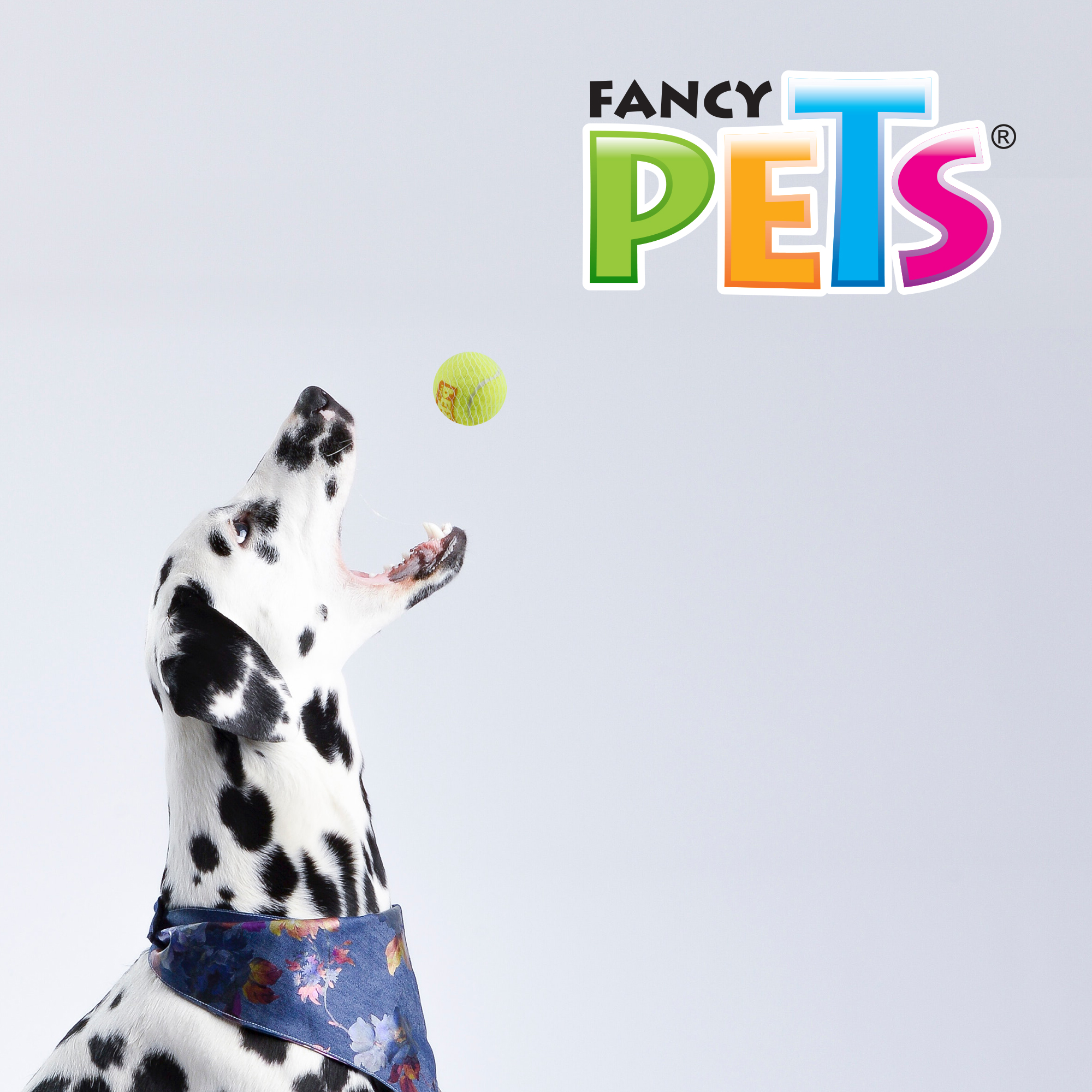 Fancy Pets Juguete Pelota Tamaño Chica de Tenis Bicolor con Squeaker para Perro con 3 Piezas