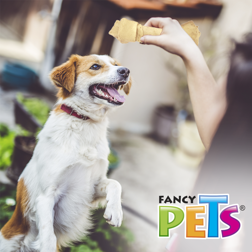 CARNAZA DE RES (17-20 CM) - 1 PZ