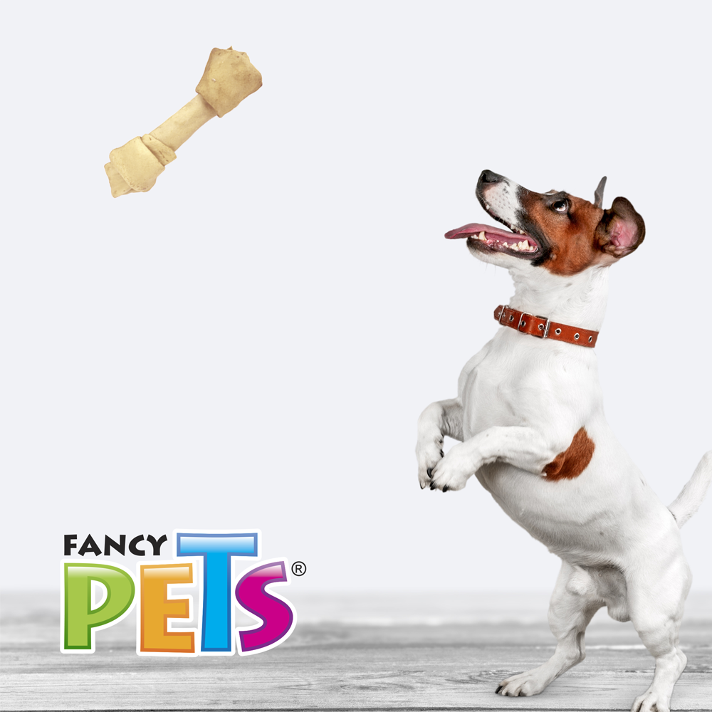 Fancy Pets Carnaza Sabor Natural para Perro de 17 a 20 Centímetros con 2 Piezas