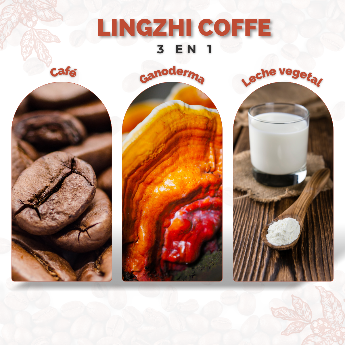 3 en 1 Café con Ganoderma / Lingzhi Coffe Gourmet