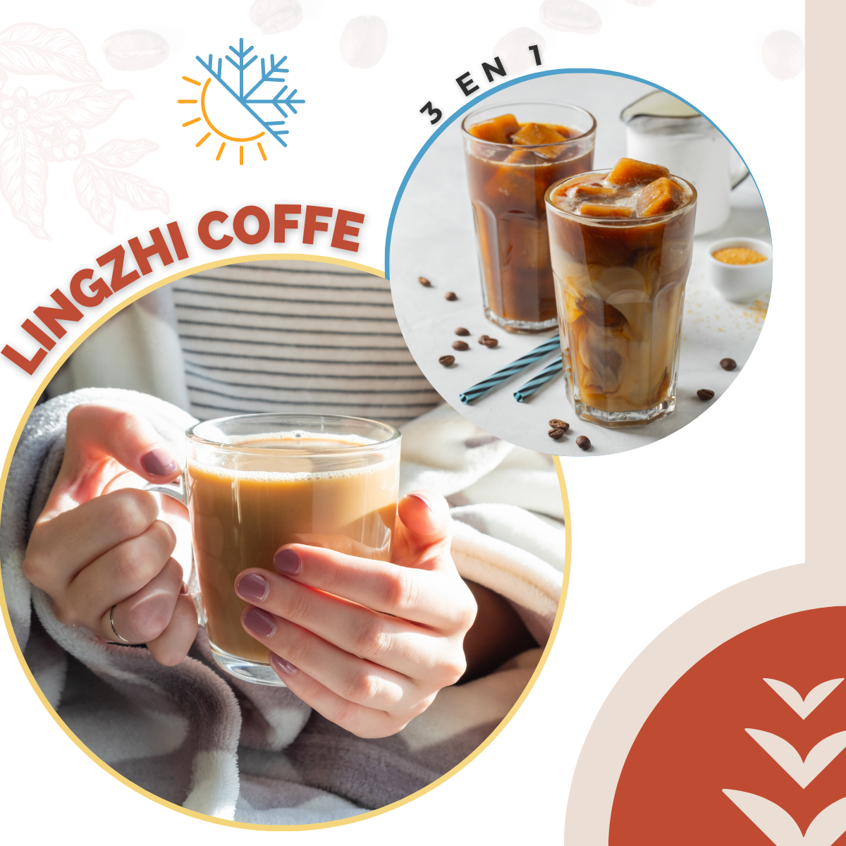 3 en 1 Café con Ganoderma / Lingzhi Coffe Gourmet