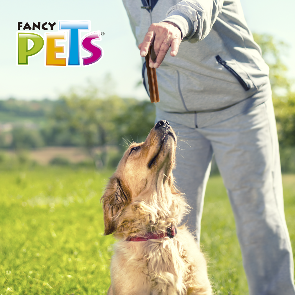 Fancy Pets Yummy Sticks Sabor Carne Premios para Perro con 3 Piezas Fortificado con Vitaminas y Minerales