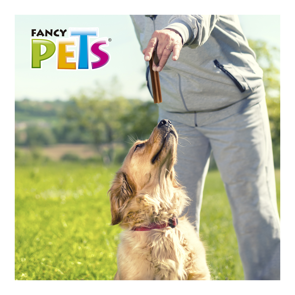 Fancy Pets Yummy Sticks Sabor Carne Para Perro con 5 Piezas, Fortificado Vitaminas y Minerales