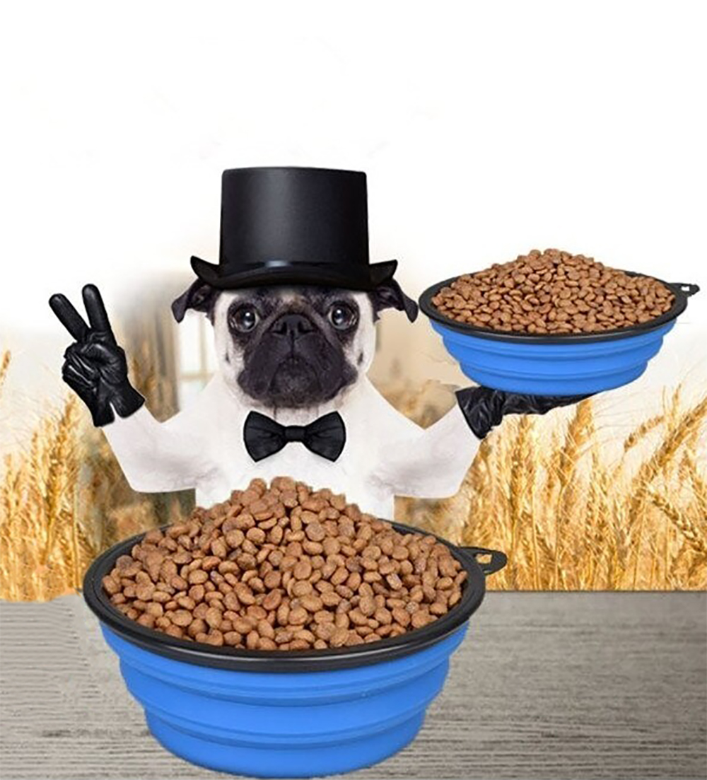 Plato Portátil Perro Plegable Silicon Mascotas  Gatos 19 Cm