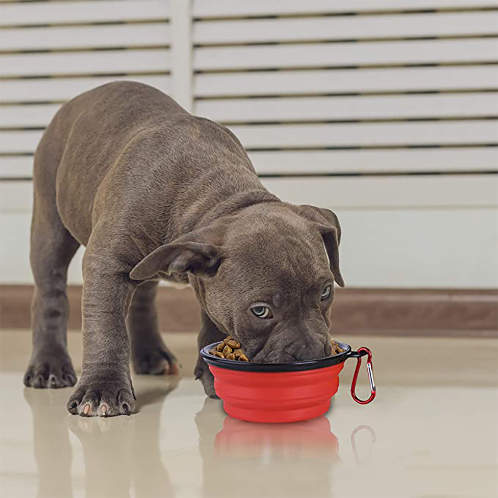 Plato Portátil Perro Plegable Silicon Mascotas  Gatos 19 Cm