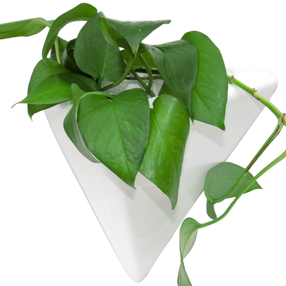 Maceta de Fibra de Vidrio Para Pared Mod. Bermuda Chico Blanco 