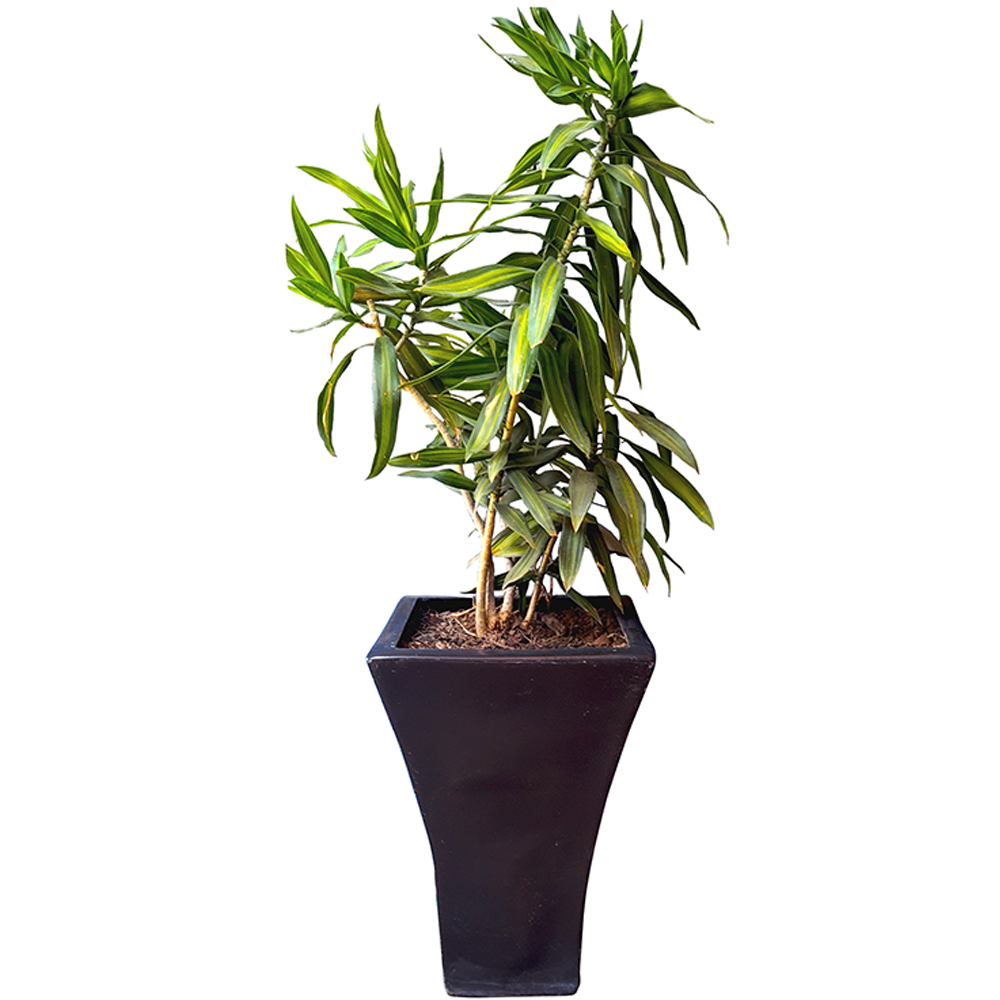 Maceta de fibra de vidrio modelo Frances Mini chocolate*