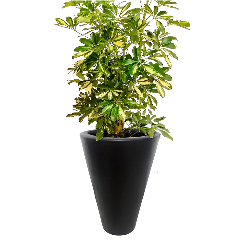 Maceta de fibra de vidrio modelo Babel mediano chocolate*