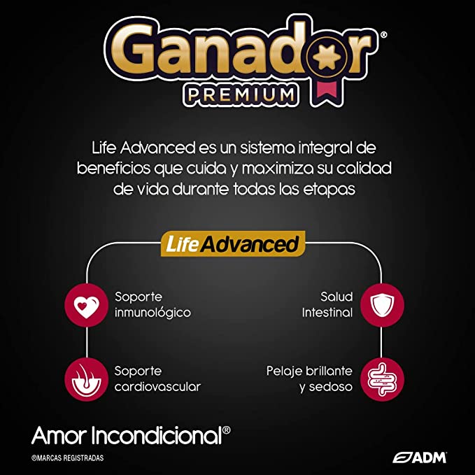 Ganador Premium Adulto 