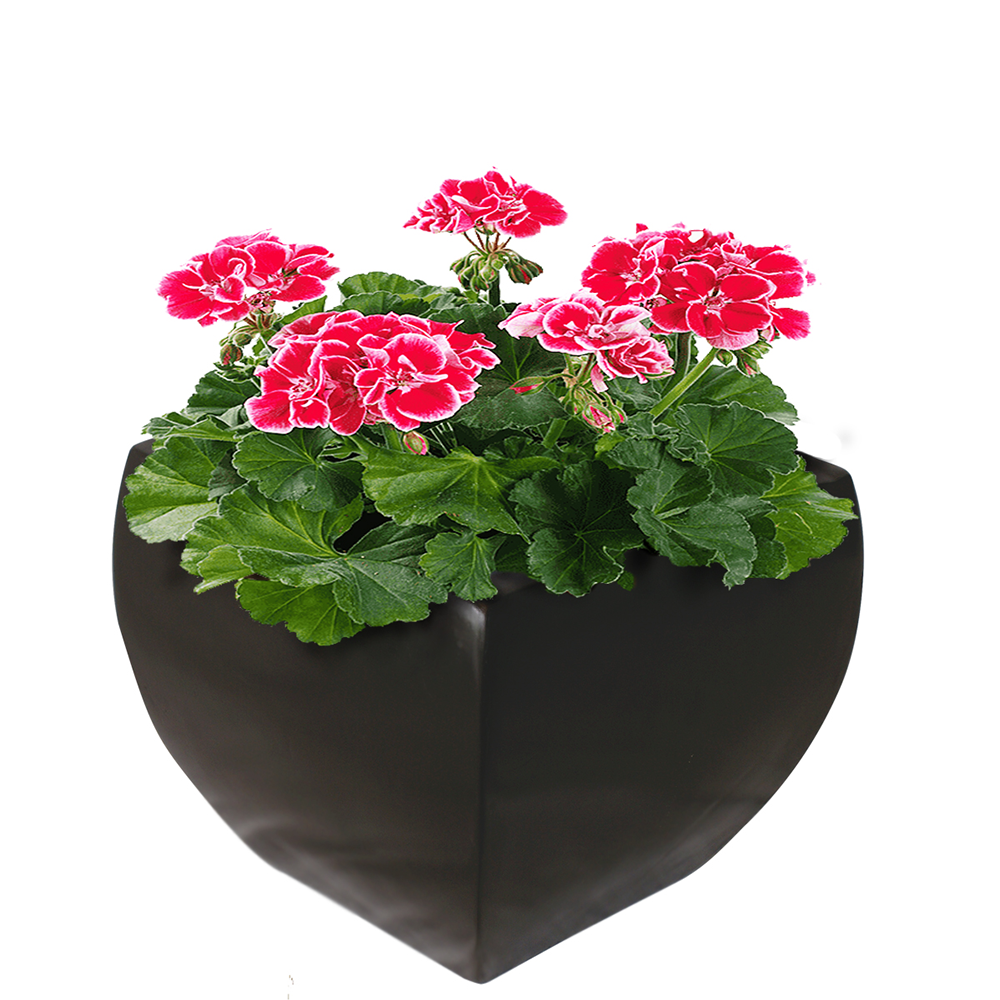 Maceta de fibra de vidrio modelo Trapecio Italiano Mediano chocolate*