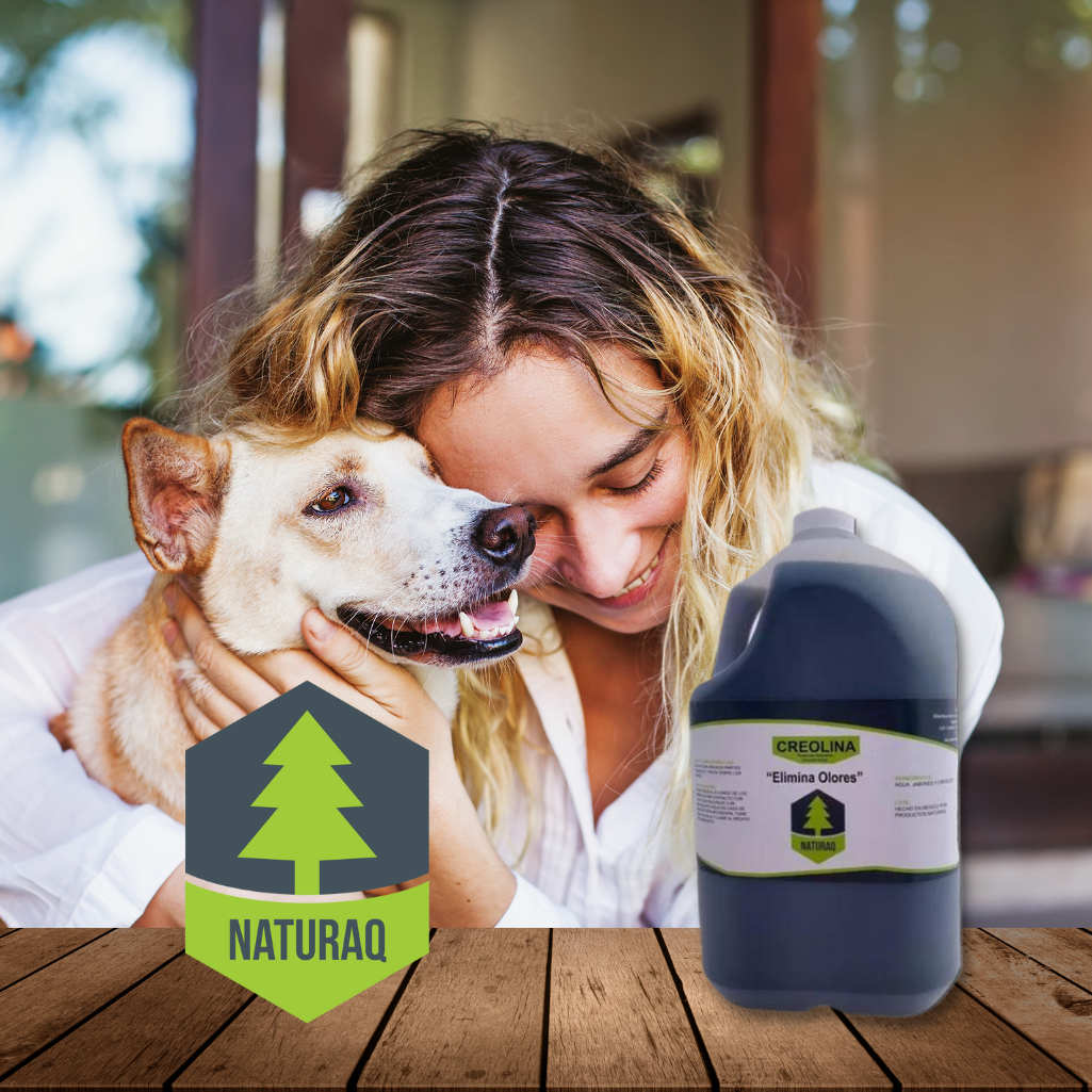 Creolina concentrada de calidad premium