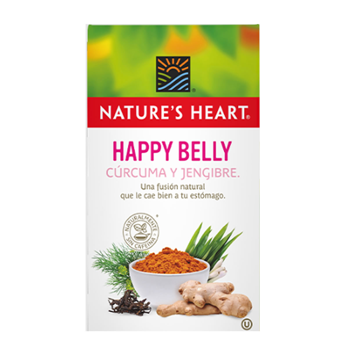 Té 4 sabores, 100 sobres de 1.5 g c/u Nature's Heart