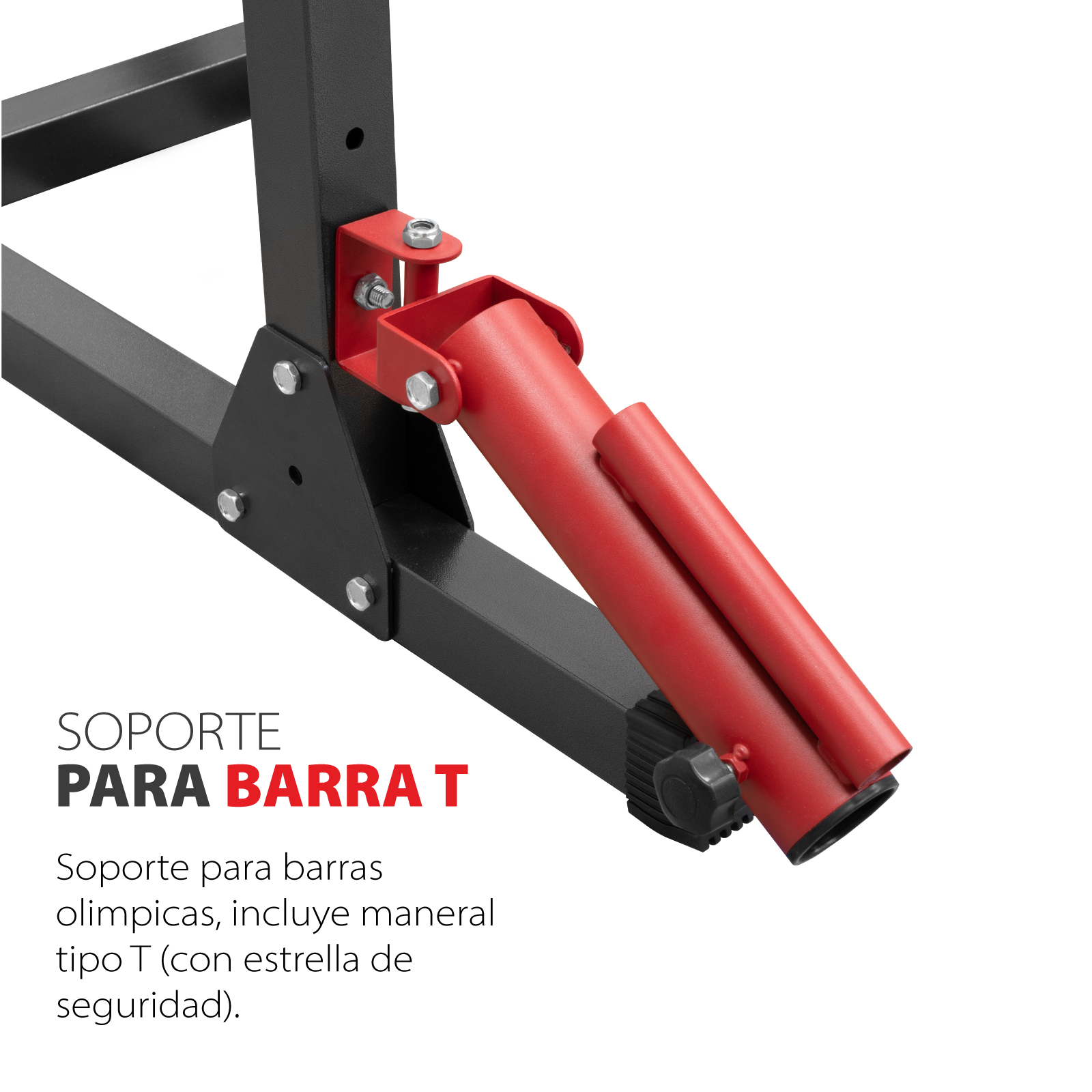 Estación Fitness Altera SQTSM Jaula de Entrenamiento.